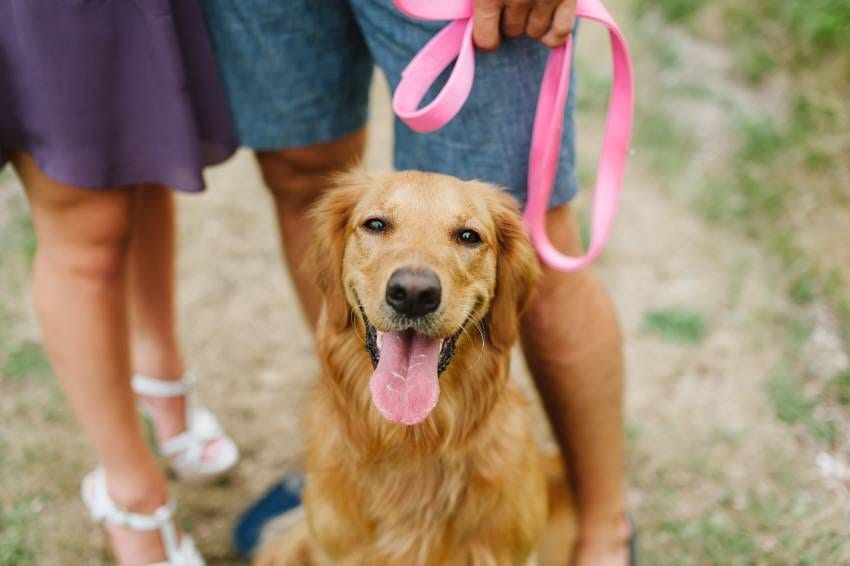 My Top 5 | Ben Chiarot