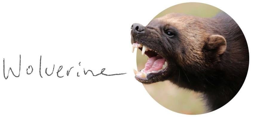 Player Q&A | Cale Makar