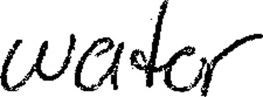 Player Q&A | Owen Tippett