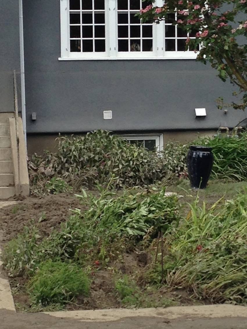 Schultz Lends A Helping Hand in Calgary