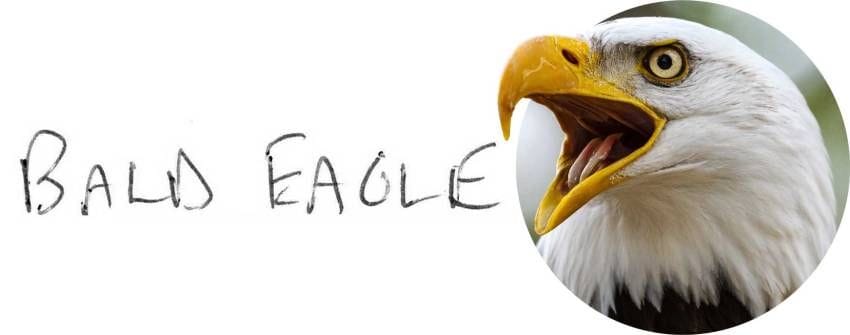 Player Q&A | Matt Duchene