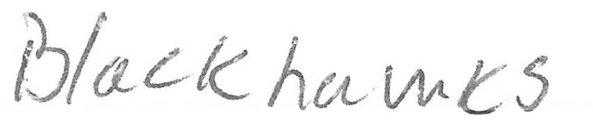 Player Q&A | Sebastian Aho