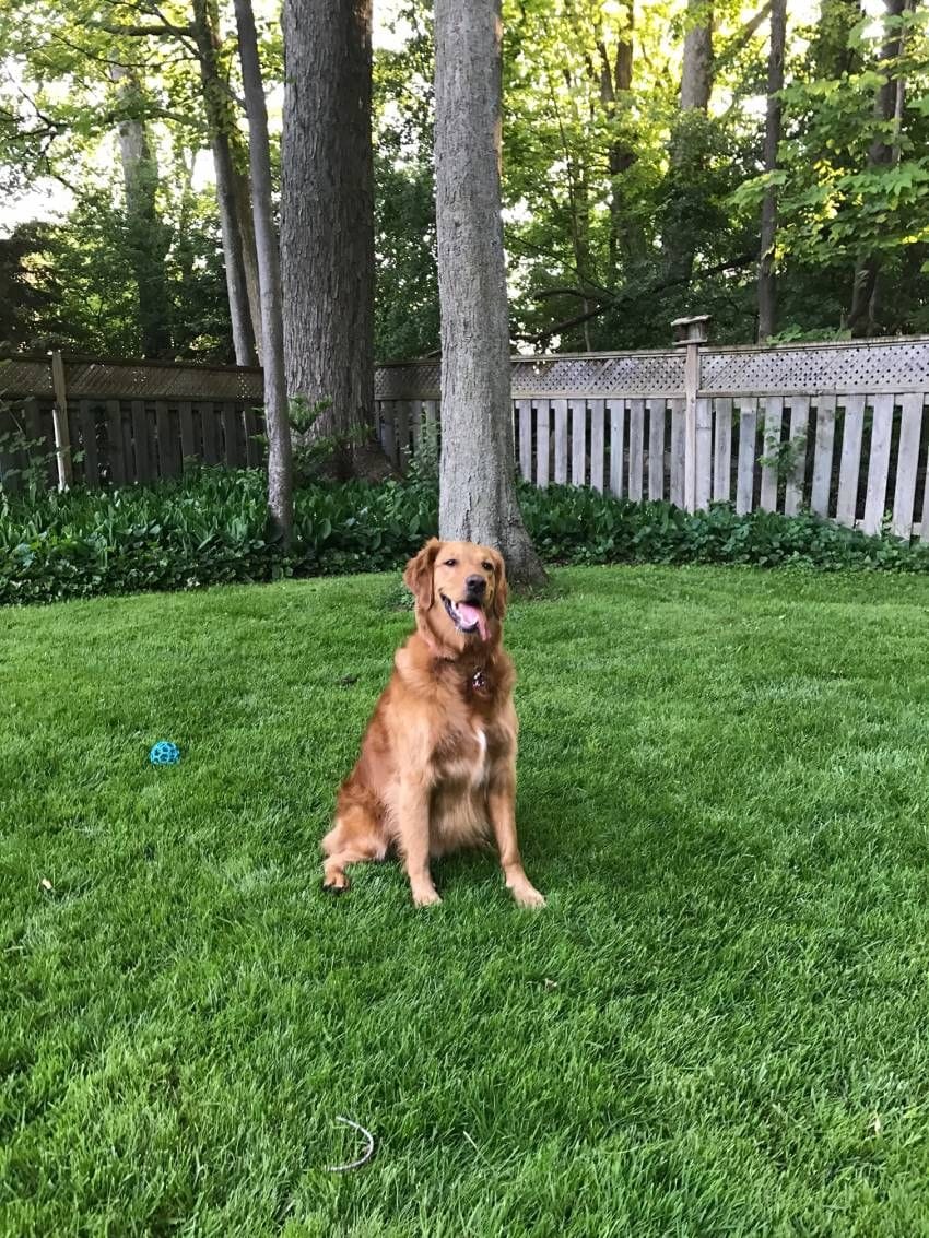 My Top 5 | Ben Chiarot