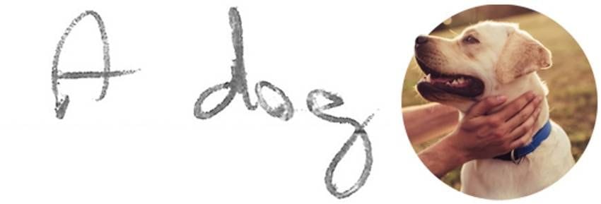 Player Q&A | Nico Hischier