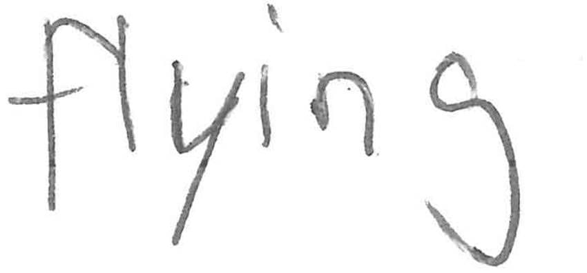 Player Q&A | Timo Meier