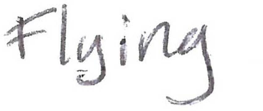 Player Q&A | Nicklas Backstrom