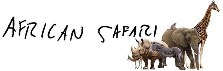 Player Q&A | Daniel Winnik