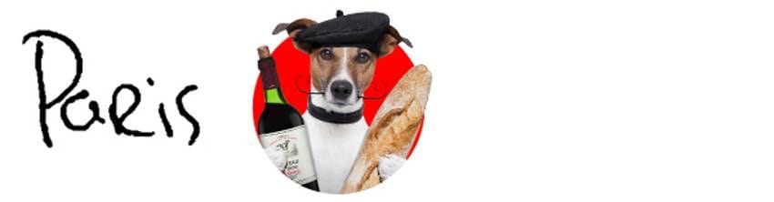 Player Q&A | Zemgus Girgensons