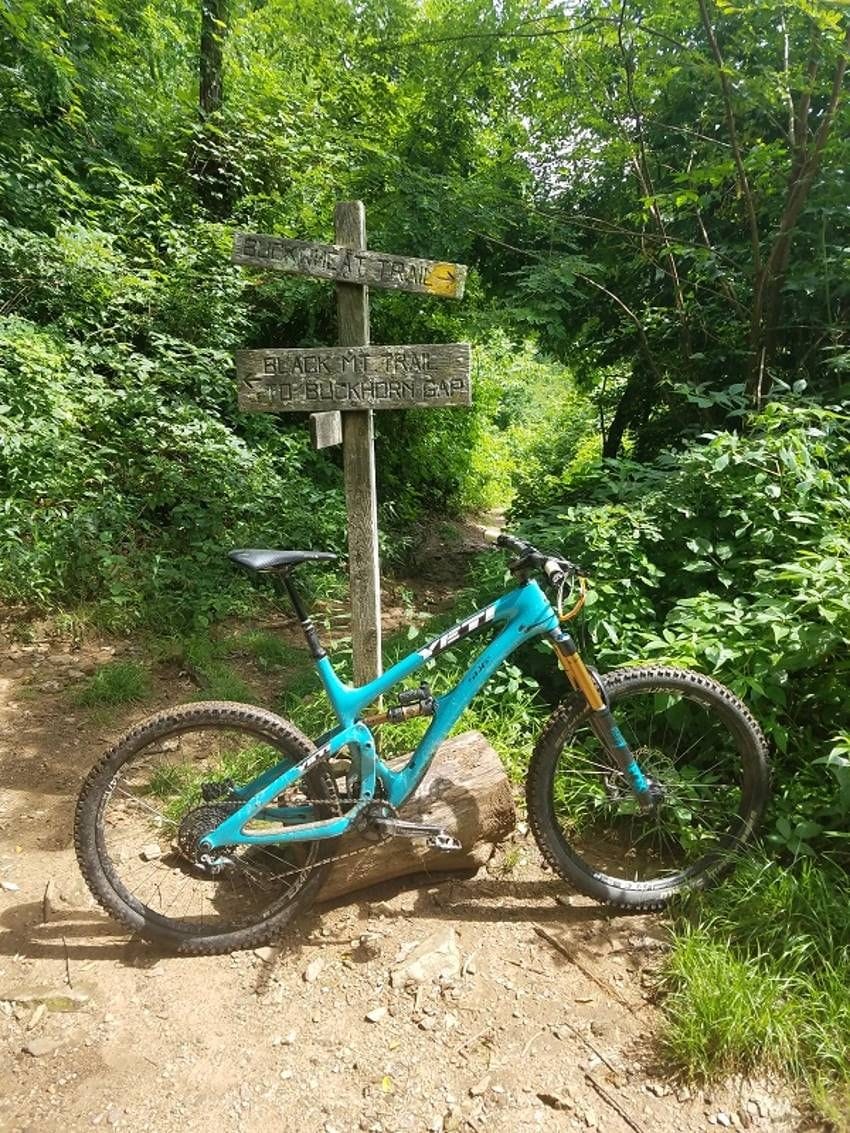 Thomas Greiss loves the thrill