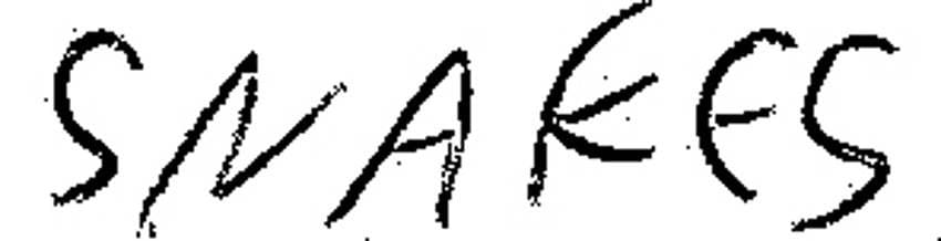 Player Q&A | Martin Necas