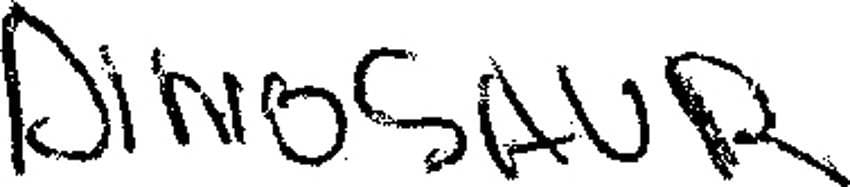 Player Q&A | Juraj Slafkovský